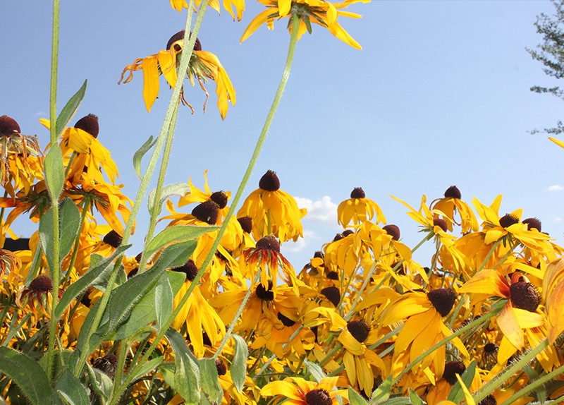 同心协力，共克时艰 --海能技术关于河南受灾地区用户服务安排