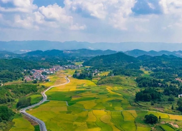 加快建设农业强国，新仪持续注入力量！